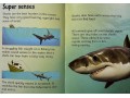 Usborne Beginners Sharks