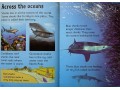 Usborne Beginners Sharks