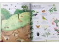 Big Picture Book Outdoors