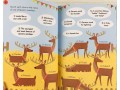 Christmas Quiz Book