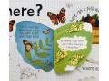 Lift-the-Flap Questions & Answers About Nature