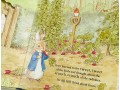  Peter Rabbit A Peep-inside Tale