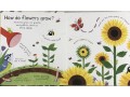 How do flowers grow? First Questions and Answers