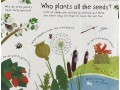 How do flowers grow? First Questions and Answers