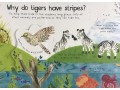 Why do Tigers have Stripes? First Questions and Answers