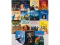 Usborne Reading Library - Confident Readers Collection 40 Books Box Set (Purple)