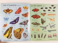 Bugs. Usborne First Sticker Book