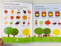 Food. Usborne My Book About