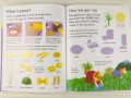 Food. Usborne My Book About