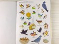 Garden. Usborne First Sticker Book