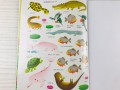 Jungle. Usborne First Sticker Book