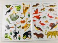 Jungle. Usborne First Sticker Book