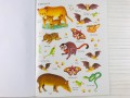 Jungle. Usborne First Sticker Book