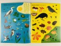 Usborne First Stiker Book. Seasons