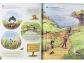 The Usborne Outdoor Book