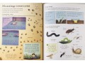 The Usborne Outdoor Book