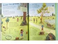 The Usborne Outdoor Book