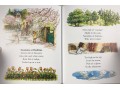 The Nursery Collection 10 Book Collection By Shirley Hughes