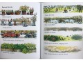 The Nursery Collection 10 Book Collection By Shirley Hughes